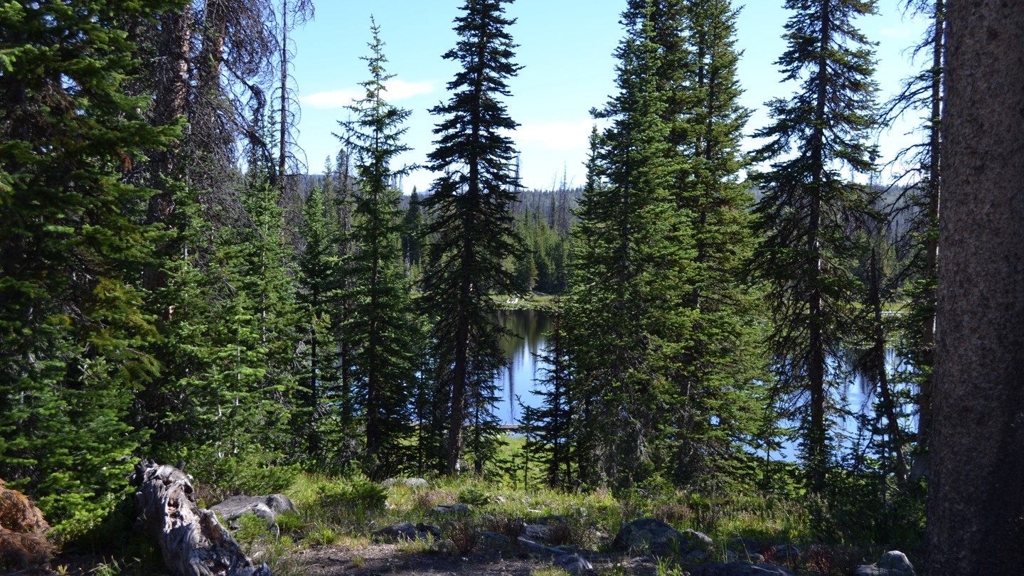 Iron Mine Lake A Utah Offroad Trail